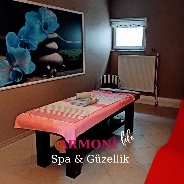 ArmoniLife Masaj Salonu Resim 4