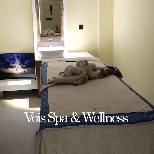 Vois Spa & Wellness Resim 2