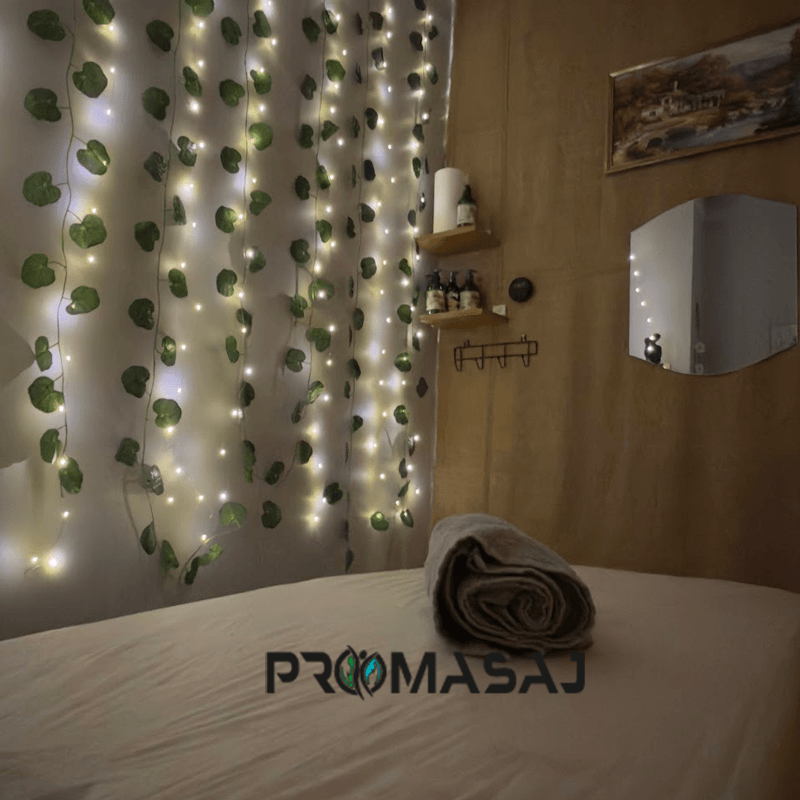 Pro Masaj Kocaeli