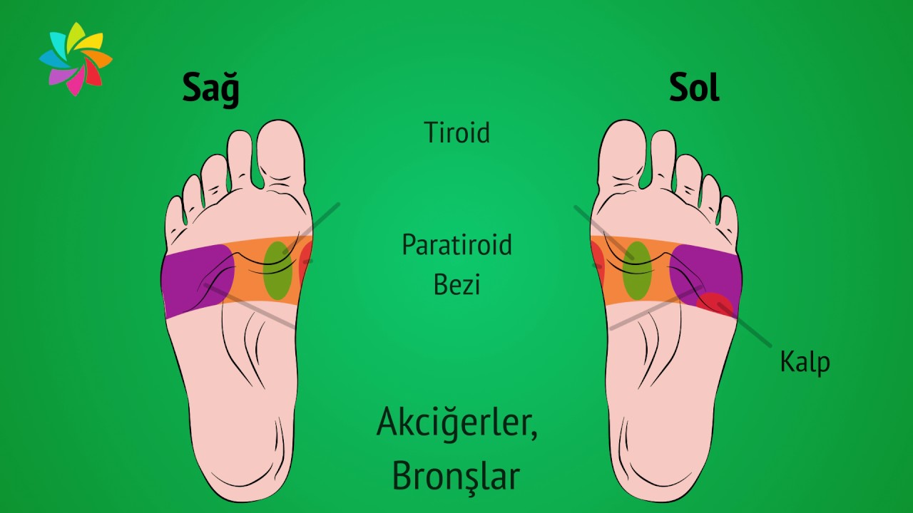 Ayak Masajı Neye İyi Gelir? : Kapak Görseli